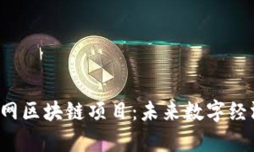  深入解析互联网区块链项目：未来数字经济的核心驱动力