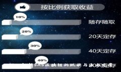 深入解析SAS区块链的现状与未来发展