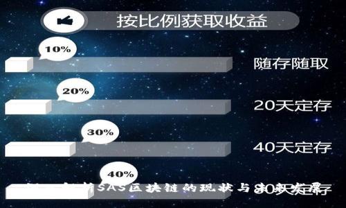 深入解析SAS区块链的现状与未来发展