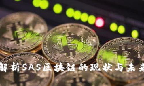 深入解析SAS区块链的现状与未来发展