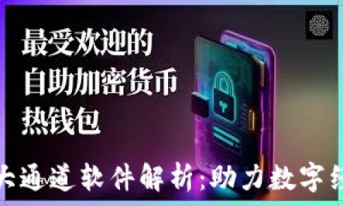   
区块链三大通道软件解析：助力数字经济新时代