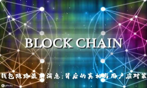 TP钱包跑路最新消息：背后的真相与用户应对策略