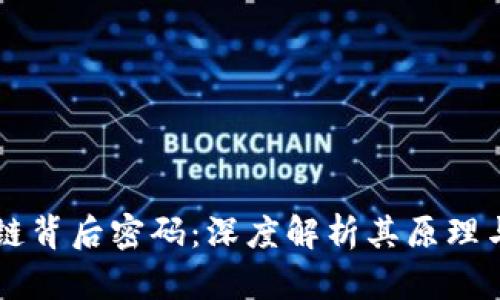 区块链背后密码：深度解析其原理与应用
