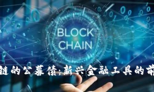 投资区块链的公募债：新兴金融工具的前景与挑战