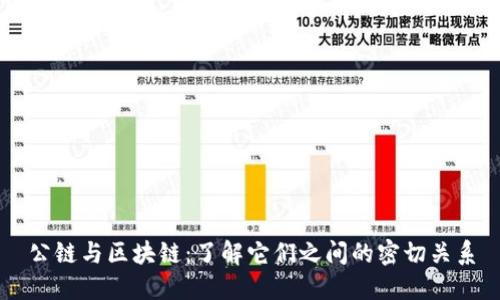 公链与区块链:了解它们之间的密切关系