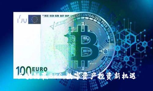 区块链赢BKS：数字资产投资新机遇