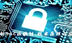 全面解析BAC区块链：技术原理与应用场景
