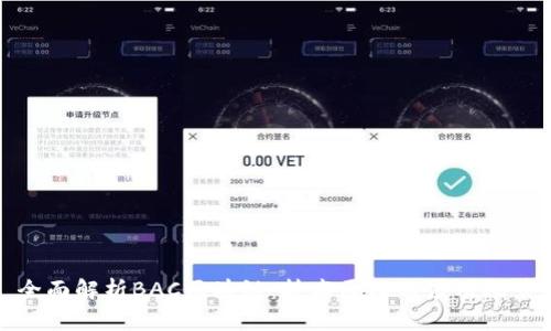 全面解析BAC区块链：技术原理与应用场景