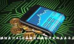 区块链是什么？全面解析区块链开发的未来与应
