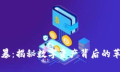 区块链风暴：揭秘数字资产背后的革命性技术