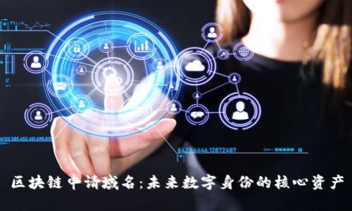 区块链申请域名：未来数字身份的核心资产