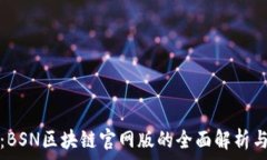   一探究竟：BSN区块链官网版的全面解析与应用前