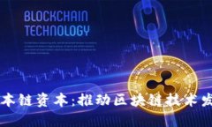 区块链孵化本链资本：推动区块链技术发展的新