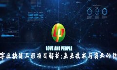 数字区块链工程项目解析：未来技术与商业的结