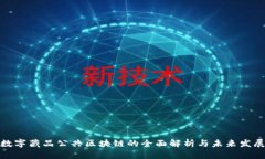 数字藏品公共区块链的全面解析与未来发展