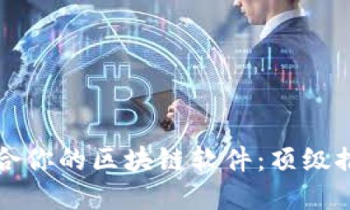 如何选择最适合你的区块链软件：顶级推荐与使用指南
