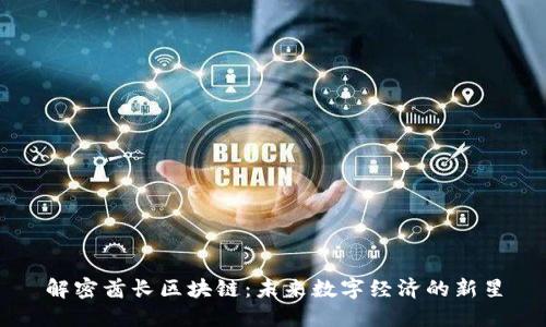 解密酋长区块链：未来数字经济的新星