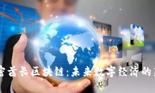 解密酋长区块链：未来数字经济的新星