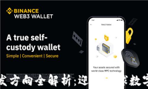 
区块链海外开发方向全解析：迎接全球数字经济的新机遇