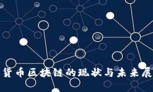 : 货币区块链的现状与未来展望