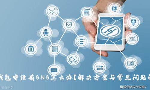TP钱包中没有BNB怎么办？解决方案与常见问题解析