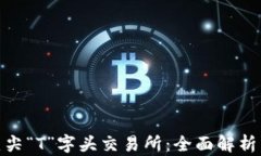 探索全球顶尖“T”字头交易所：全面解析与投资