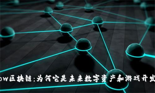 深入探讨Flow区块链：为何它是未来数字资产和游戏开发的关键技术