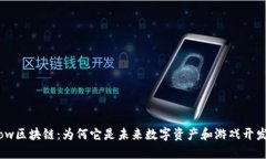 深入探讨Flow区块链：为何它是未来数字资产和游