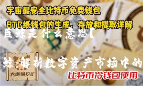 区块链的巨鲸是什么意思？

区块链巨鲸：解析数字资产市场中的关键玩家