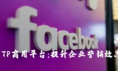  全面解析TP商用平台：提升企业营销效率的新选