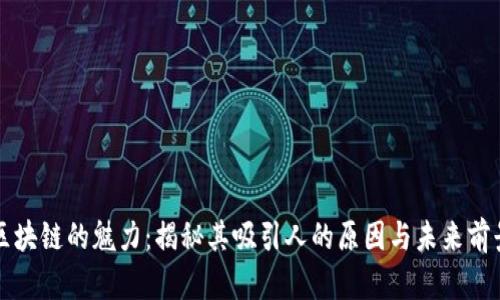 区块链的魅力：揭秘其吸引人的原因与未来前景