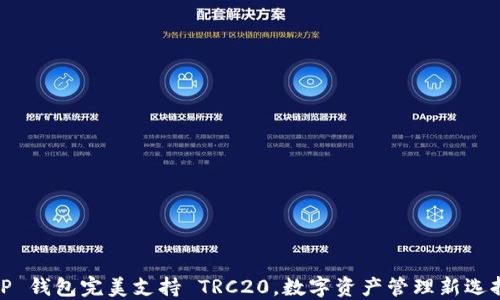 
TP 钱包完美支持 TRC20，数字资产管理新选择