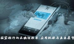 国家推行的区块链技术：应用现状与未来展望