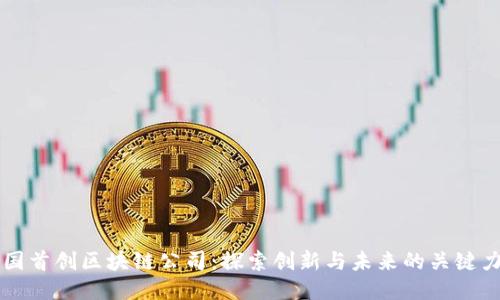美国首创区块链公司：探索创新与未来的关键力量