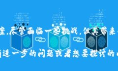 “环球链区块链DMS”是一个与区块链技术相关的