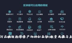 揭开黑河区块链数字资产的神秘面纱：投资成果