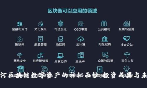 揭开黑河区块链数字资产的神秘面纱：投资成果与未来前景