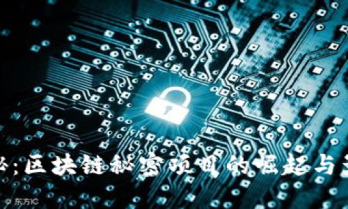 揭秘：区块链秘密项目的崛起与影响