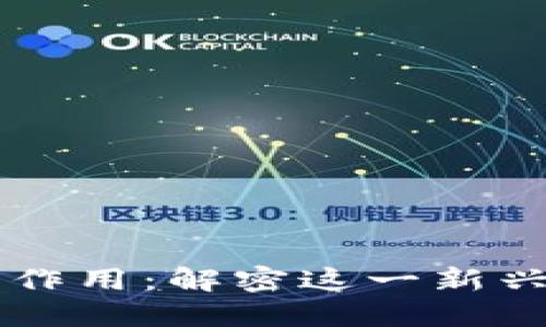 区块链的含义与作用：解密这一新兴技术的未来潜力