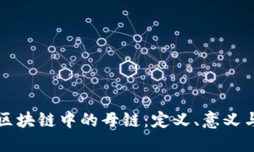 探秘区块链中的母链：定义、意义与应用