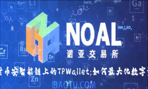 深入探讨币安智能链上的TPWallet：如何最大化数字资产管理