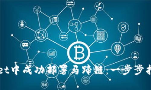 如何在TPWallet中成功部署马蹄链：一步步指导与实用技巧