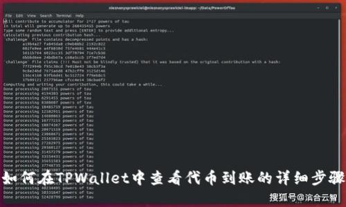 如何在TPWallet中查看代币到账的详细步骤