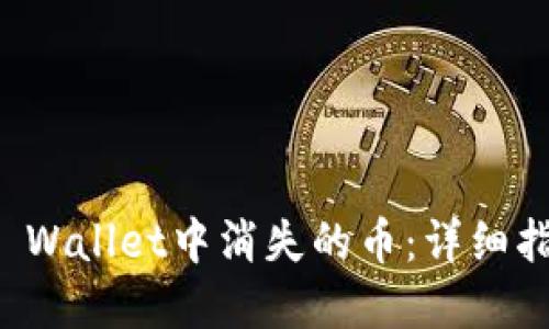 如何找回在TP Wallet中消失的币：详细指导与实用技巧