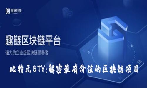 比特元BTY：解密最有价值的区块链项目