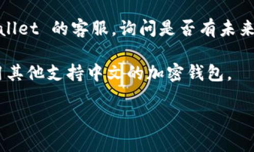 目前，TPWallet 不支持直接在应用中更改语言版本。如果您想使用中文版的 TPWallet，建议您检查以下几种方式：

1. **应用更新**: 请确保您的 TPWallet 应用是最新版本。有时候，新版本会加入更多语言的支持。

2. **系统语言设置**: 您的设备语言设置可能会影响应用的显示语言。尝试将设备的语言设置为中文，然后重新启动 TPWallet，看看能否自动切换到中文版。

3. **联系客服**: 如果仍然没有中文选项，可以尝试联系 TPWallet 的客服，询问是否有未来支持中文的计划。

4. **使用其他钱包**: 如果您急需中文支持，您也可以考虑使用其他支持中文的加密钱包。

希望这些信息能帮助到您！