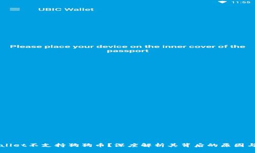 为何TPWallet不支持狗狗币？深度解析其背后的原因与替代方案