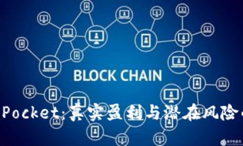 揭秘TokenPocket：真实盈利与潜在风险的全面分析