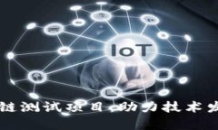 深入解析区块链测试项目：助力技术发展的关键
