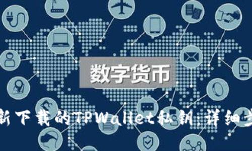 如何导入新下载的TPWallet私钥：详细步骤与技巧